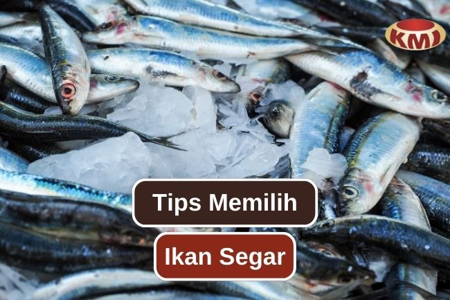 Perhatikan Hal Ini Untuk Memilih Ikan Segar